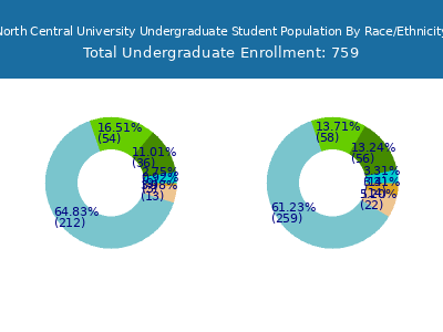 North Central University 2025 Undergraduate Enrollment by Gender and Race chart