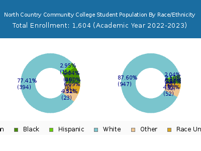 North Country Community College 2023 Student Population by Gender and Race chart