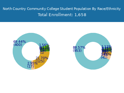 North Country Community College 2025 Student Population by Gender and Race chart