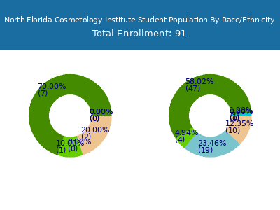 North Florida Cosmetology Institute 2025 Student Population by Gender and Race chart