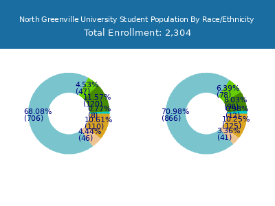 North Greenville University 2025 Student Population by Gender and Race chart