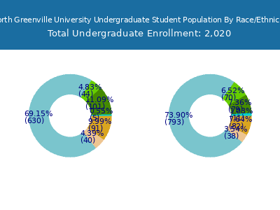 North Greenville University 2025 Undergraduate Enrollment by Gender and Race chart