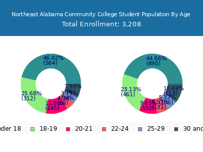 Northeast Alabama Community College 2025 Student Population Age Diversity Pie chart