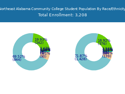 Northeast Alabama Community College 2025 Student Population by Gender and Race chart