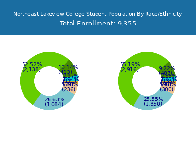 Northeast Lakeview College 2025 Student Population by Gender and Race chart