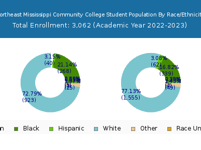 Northeast Mississippi Community College 2023 Student Population by Gender and Race chart