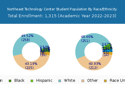 Northeast Technology Center 2023 Student Population by Gender and Race chart