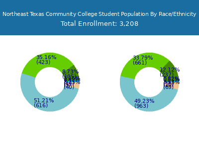Northeast Texas Community College 2025 Student Population by Gender and Race chart