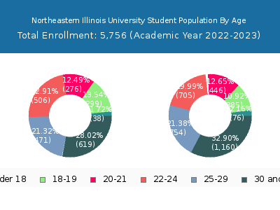 Northeastern Illinois University 2023 Student Population Age Diversity Pie chart