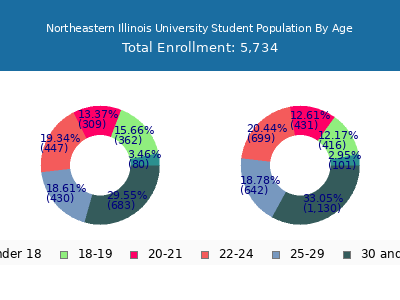 Northeastern Illinois University 2025 Student Population Age Diversity Pie chart