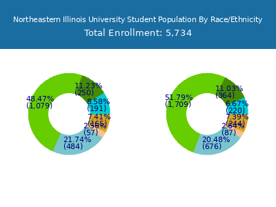 Northeastern Illinois University 2025 Student Population by Gender and Race chart
