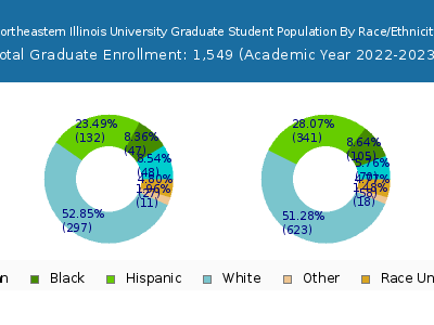 Northeastern Illinois University 2023 Graduate Enrollment by Gender and Race chart