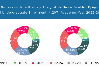 Northeastern Illinois University 2023 Undergraduate Enrollment Age Diversity Pie chart