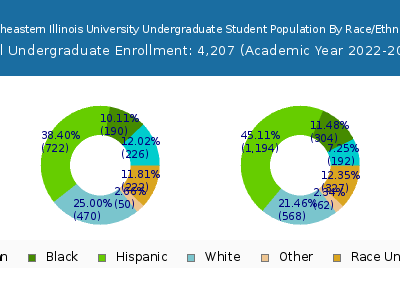 Northeastern Illinois University 2023 Undergraduate Enrollment by Gender and Race chart