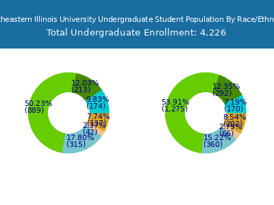 Northeastern Illinois University 2025 Undergraduate Enrollment by Gender and Race chart