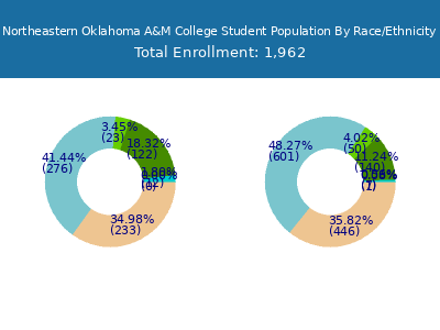 Northeastern Oklahoma A&M College 2025 Student Population by Gender and Race chart