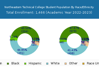 Northeastern Technical College 2023 Student Population by Gender and Race chart