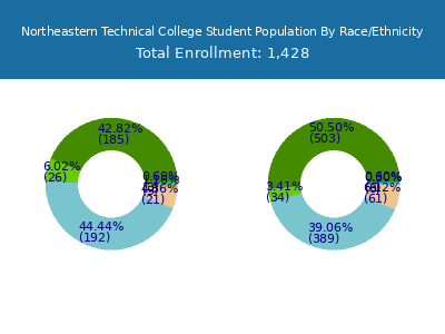 Northeastern Technical College 2025 Student Population by Gender and Race chart