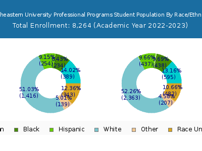 Northeastern University Professional Programs 2023 Student Population by Gender and Race chart