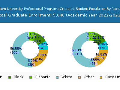 Northeastern University Professional Programs 2023 Graduate Enrollment by Gender and Race chart