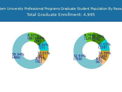 Northeastern University Professional Programs 2025 Graduate Enrollment by Gender and Race chart