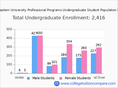 Northeastern University Professional Programs 2024 Undergraduate Enrollment by Age chart