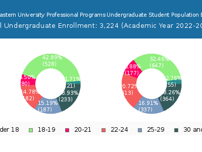 Northeastern University Professional Programs 2023 Undergraduate Enrollment Age Diversity Pie chart