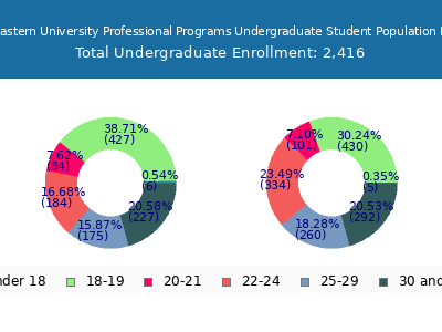 Northeastern University Professional Programs 2024 Undergraduate Enrollment Age Diversity Pie chart