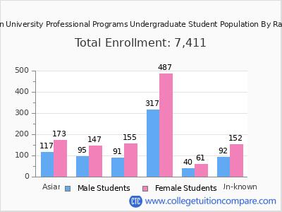 Northeastern University Professional Programs 2025 Undergraduate Enrollment by Gender and Race chart