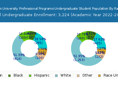 Northeastern University Professional Programs 2023 Undergraduate Enrollment by Gender and Race chart