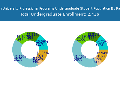 Northeastern University Professional Programs 2025 Undergraduate Enrollment by Gender and Race chart