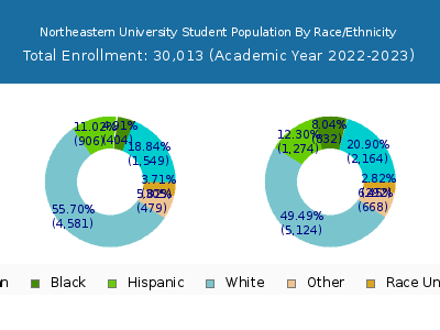 Northeastern University 2023 Student Population by Gender and Race chart