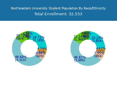 Northeastern University 2025 Student Population by Gender and Race chart