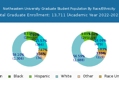 Northeastern University 2023 Graduate Enrollment by Gender and Race chart