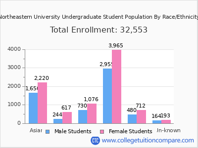 Northeastern University 2025 Undergraduate Enrollment by Gender and Race chart