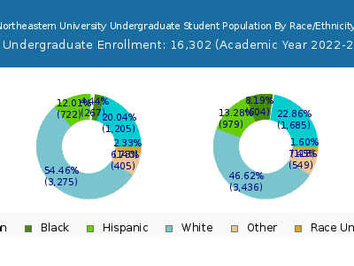 Northeastern University 2023 Undergraduate Enrollment by Gender and Race chart