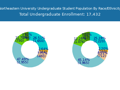 Northeastern University 2025 Undergraduate Enrollment by Gender and Race chart