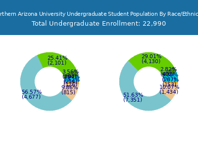 Northern Arizona University 2025 Undergraduate Enrollment by Gender and Race chart