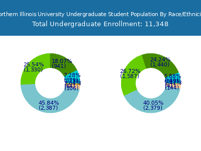 Northern Illinois University 2025 Undergraduate Enrollment by Gender and Race chart