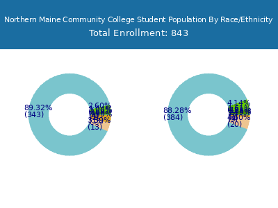 Northern Maine Community College 2025 Student Population by Gender and Race chart