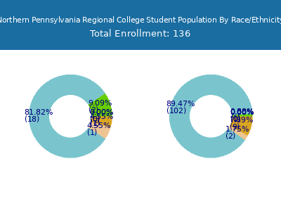 Northern Pennsylvania Regional College 2025 Student Population by Gender and Race chart