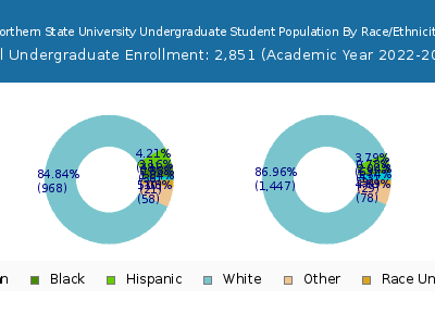 Northern State University 2023 Undergraduate Enrollment by Gender and Race chart