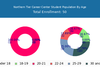 Northern Tier Career Center 2024 Student Population Age Diversity Pie chart
