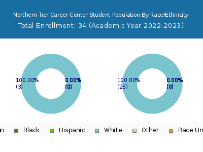 Northern Tier Career Center 2023 Student Population by Gender and Race chart