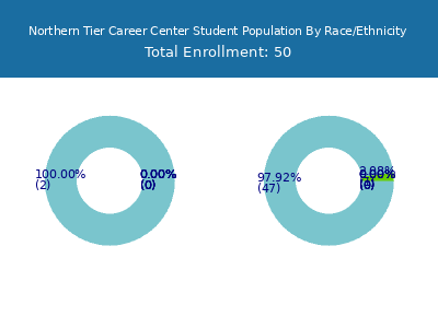Northern Tier Career Center 2025 Student Population by Gender and Race chart