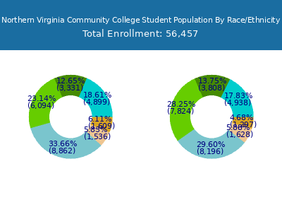 Northern Virginia Community College 2025 Student Population by Gender and Race chart