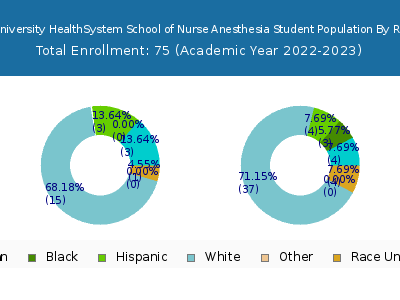 NorthShore University HealthSystem School of Nurse Anesthesia 2023 Student Population by Gender and Race chart