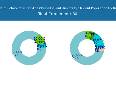 Endeavor Health School of Nurse Anesthesia-DePaul University 2025 Student Population by Gender and Race chart