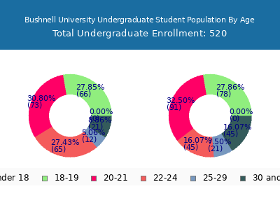 Bushnell University 2025 Undergraduate Enrollment Age Diversity Pie chart