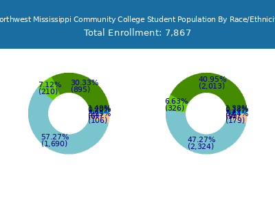 Northwest Mississippi Community College 2025 Student Population by Gender and Race chart